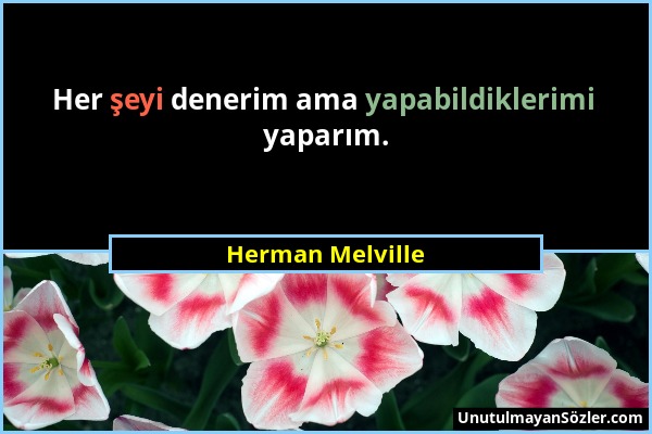 Herman Melville - Her şeyi denerim ama yapabildiklerimi yaparım....