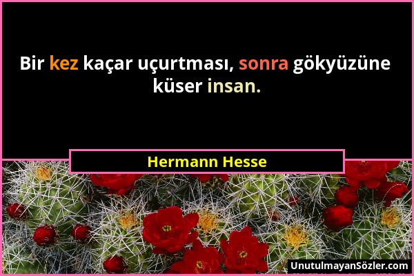 Hermann Hesse - Bir kez kaçar uçurtması, sonra gökyüzüne küser insan....