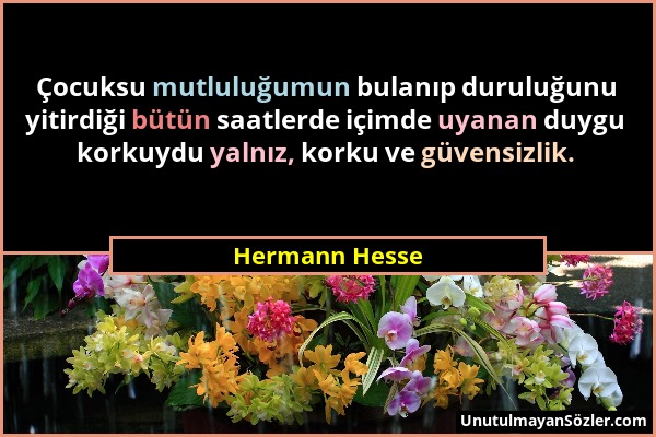 Hermann Hesse - Çocuksu mutluluğumun bulanıp duruluğunu yitirdiği bütün saatlerde içimde uyanan duygu korkuydu yalnız, korku ve güvensizlik....