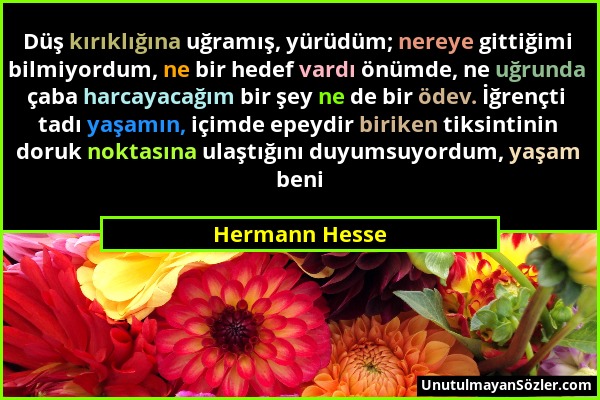 Hermann Hesse - Düş kırıklığına uğramış, yürüdüm; nereye gittiğimi bilmiyordum, ne bir hedef vardı önümde, ne uğrunda çaba harcayacağım bir şey ne de...