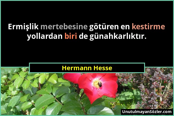 Hermann Hesse - Ermişlik mertebesine götüren en kestirme yollardan biri de günahkarlıktır....