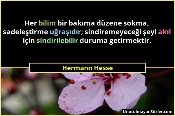 Hermann Hesse - Her bilim bir bakıma düzene sokma, sadeleştirme uğraşıdır; sindiremeyeceği şeyi akıl için sindirilebilir duruma getirmektir....