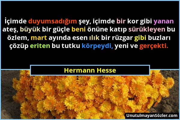 Hermann Hesse - İçimde duyumsadığım şey, içimde bir kor gibi yanan ateş, büyük bir güçle beni önüne katıp sürükleyen bu özlem, mart ayında esen ılık b...