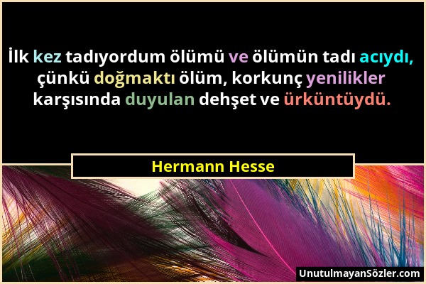 Hermann Hesse - İlk kez tadıyordum ölümü ve ölümün tadı acıydı, çünkü doğmaktı ölüm, korkunç yenilikler karşısında duyulan dehşet ve ürküntüydü....