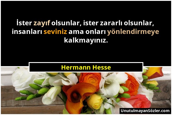 Hermann Hesse - İster zayıf olsunlar, ister zararlı olsunlar, insanları seviniz ama onları yönlendirmeye kalkmayınız....