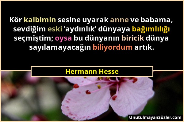 Hermann Hesse - Kör kalbimin sesine uyarak anne ve babama, sevdiğim eski 'aydınlık' dünyaya bağımlılığı seçmiştim; oysa bu dünyanın biricik dünya sayı...