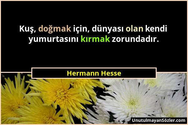 Hermann Hesse - Kuş, doğmak için, dünyası olan kendi yumurtasını kırmak zorundadır....