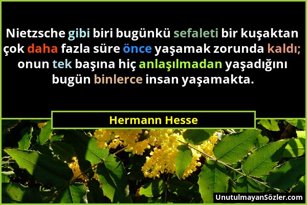 Hermann Hesse - Nietzsche gibi biri bugünkü sefaleti bir kuşaktan çok daha fazla süre önce yaşamak zorunda kaldı; onun tek başına hiç anlaşılmadan yaş...