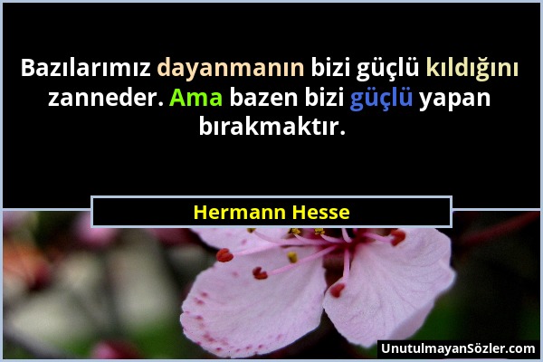 Hermann Hesse - Bazılarımız dayanmanın bizi güçlü kıldığını zanneder. Ama bazen bizi güçlü yapan bırakmaktır....