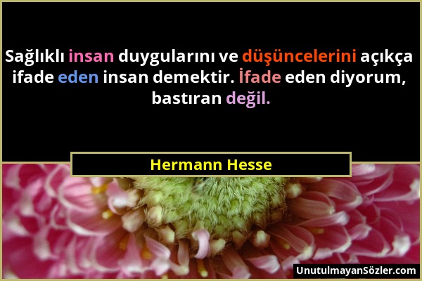 Hermann Hesse - Sağlıklı insan duygularını ve düşüncelerini açıkça ifade eden insan demektir. İfade eden diyorum, bastıran değil....