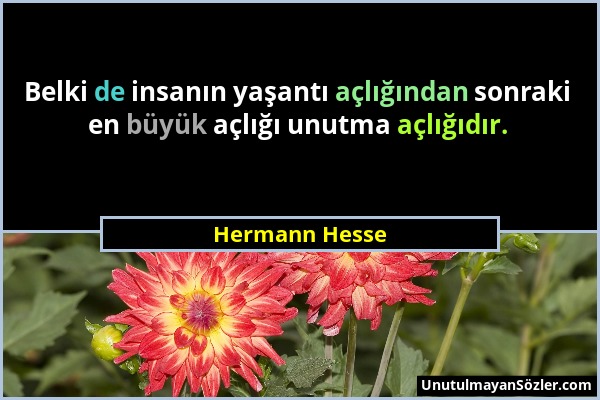 Hermann Hesse - Belki de insanın yaşantı açlığından sonraki en büyük açlığı unutma açlığıdır....