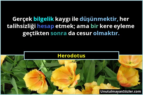 Herodotus - Gerçek bilgelik kaygı ile düşünmektir, her talihsizliği hesap etmek; ama bir kere eyleme geçtikten sonra da cesur olmaktır....