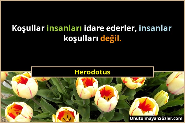 Herodotus - Koşullar insanları idare ederler, insanlar koşulları değil....