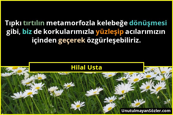 Hilal Usta - Tıpkı tırtılın metamorfozla kelebeğe dönüşmesi gibi, biz de korkularımızla yüzleşip acılarımızın içinden geçerek özgürleşebiliriz....