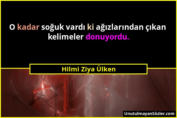 Hilmi Ziya Ülken - O kadar soğuk vardı ki ağızlarından çıkan kelimeler donuyordu....