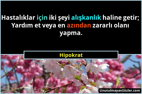 Hipokrat - Hastalıklar için iki şeyi alışkanlık haline getir; Yardım et veya en azından zararlı olanı yapma....