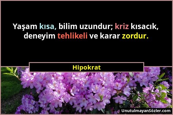 Hipokrat - Yaşam kısa, bilim uzundur; kriz kısacık, deneyim tehlikeli ve karar zordur....