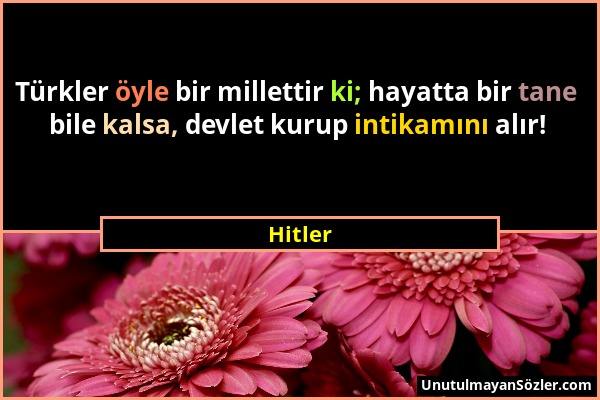Hitler - Türkler öyle bir millettir ki; hayatta bir tane bile kalsa, devlet kurup intikamını alır!...