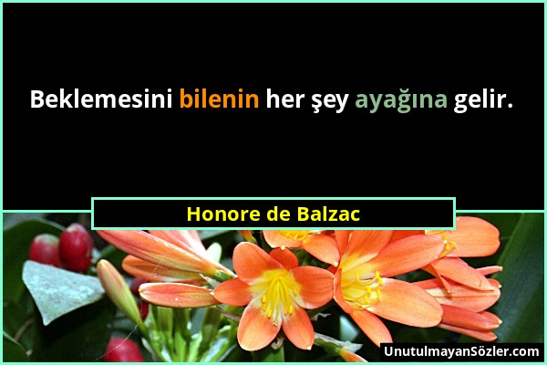 Honore de Balzac - Beklemesini bilenin her şey ayağına gelir....