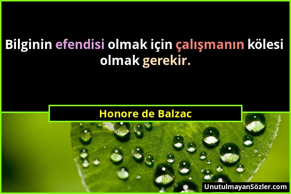 Honore de Balzac - Bilginin efendisi olmak için çalışmanın kölesi olmak gerekir....