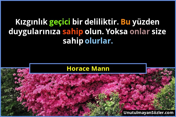 Horace Mann - Kızgınlık geçici bir deliliktir. Bu yüzden duygularınıza sahip olun. Yoksa onlar size sahip olurlar....