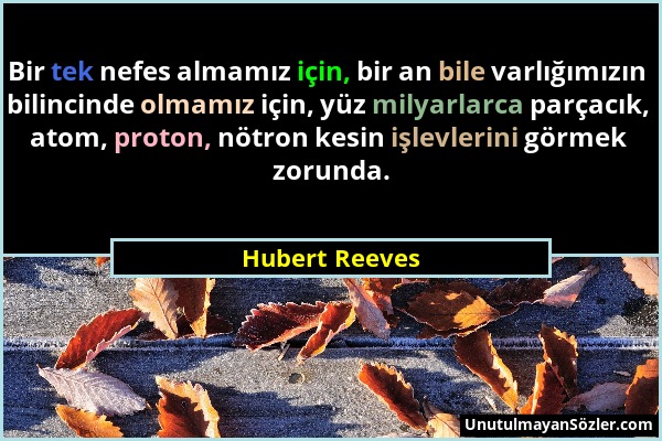 Hubert Reeves - Bir tek nefes almamız için, bir an bile varlığımızın bilincinde olmamız için, yüz milyarlarca parçacık, atom, proton, nötron kesin işl...