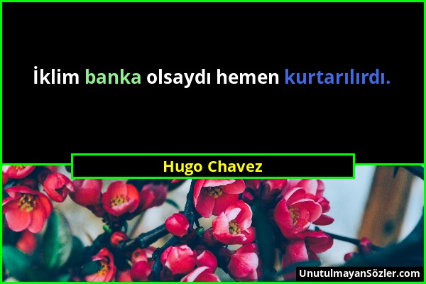 Hugo Chavez - İklim banka olsaydı hemen kurtarılırdı....