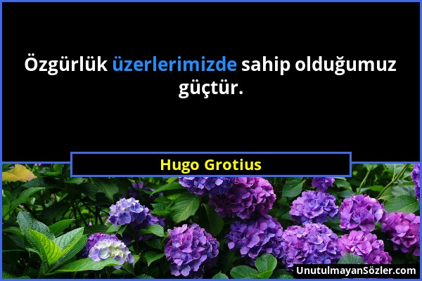 Hugo Grotius - Özgürlük üzerlerimizde sahip olduğumuz güçtür....