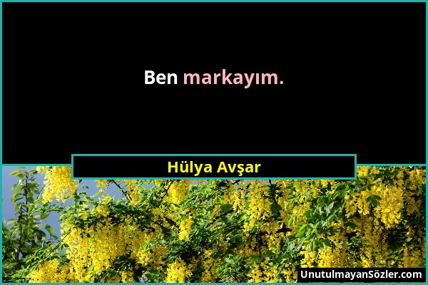 Hülya Avşar - Ben markayım....