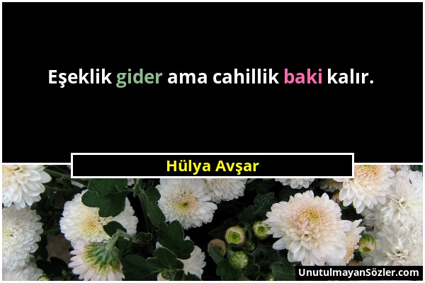 Hülya Avşar - Eşeklik gider ama cahillik baki kalır....