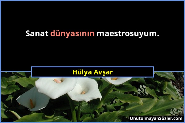 Hülya Avşar - Sanat dünyasının maestrosuyum....