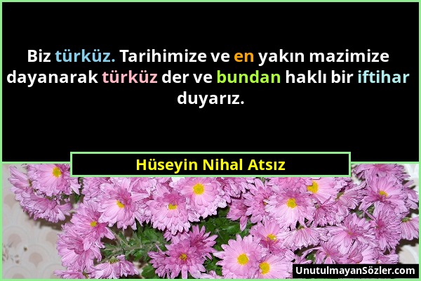 Hüseyin Nihal Atsız - Biz türküz. Tarihimize ve en yakın mazimize dayanarak türküz der ve bundan haklı bir iftihar duyarız....