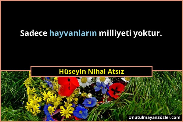 Hüseyin Nihal Atsız - Sadece hayvanların milliyeti yoktur....