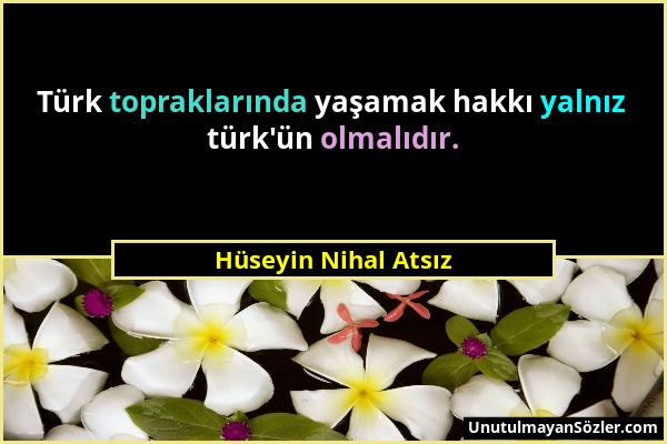 Hüseyin Nihal Atsız - Türk topraklarında yaşamak hakkı yalnız türk'ün olmalıdır....