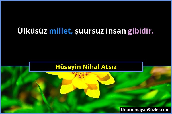 Hüseyin Nihal Atsız - Ülküsüz millet, şuursuz insan gibidir....