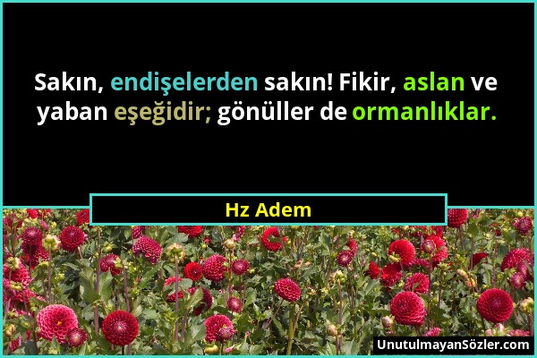 Hz Adem - Sakın, endişelerden sakın! Fikir, aslan ve yaban eşeğidir; gönüller de ormanlıklar....