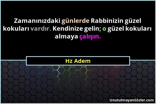 Hz Adem - Zamanınızdaki günlerde Rabbinizin güzel kokuları vardır. Kendinize gelin; o güzel kokuları almaya çalışın....