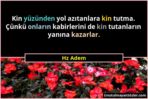 Hz Adem - Kin yüzünden yol azıtanlara kin tutma. Çünkü onların kabirlerini de kin tutanların yanına kazarlar....