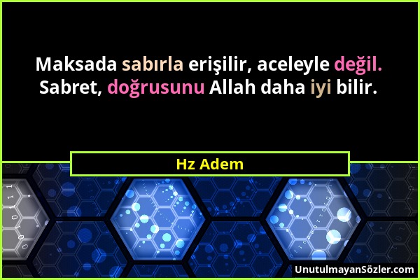 Hz Adem - Maksada sabırla erişilir, aceleyle değil. Sabret, doğrusunu Allah daha iyi bilir....