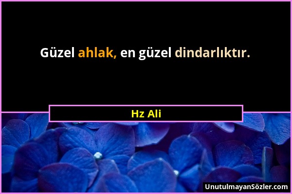 Hz Ali - Güzel ahlak, en güzel dindarlıktır....