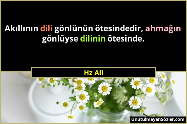 Hz Ali - Akıllının dili gönlünün ötesindedir, ahmağın gönlüyse dilinin ötesinde....