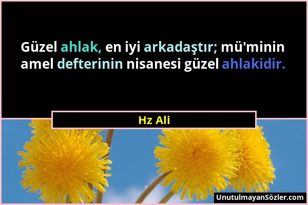 Hz Ali - Güzel ahlak, en iyi arkadaştır; mü'minin amel defterinin nisanesi güzel ahlakidir....