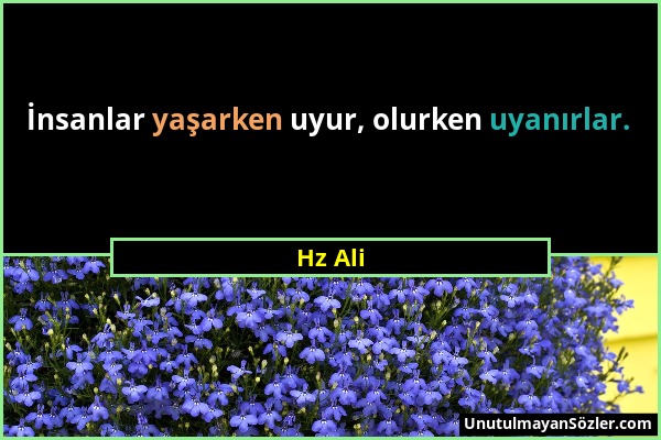 Hz Ali - İnsanlar yaşarken uyur, olurken uyanırlar....