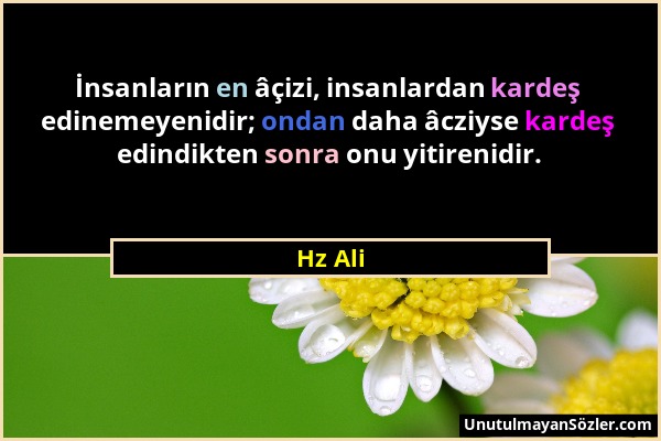 Hz Ali - İnsanların en âçizi, insanlardan kardeş edinemeyenidir; ondan daha âcziyse kardeş edindikten sonra onu yitirenidir....