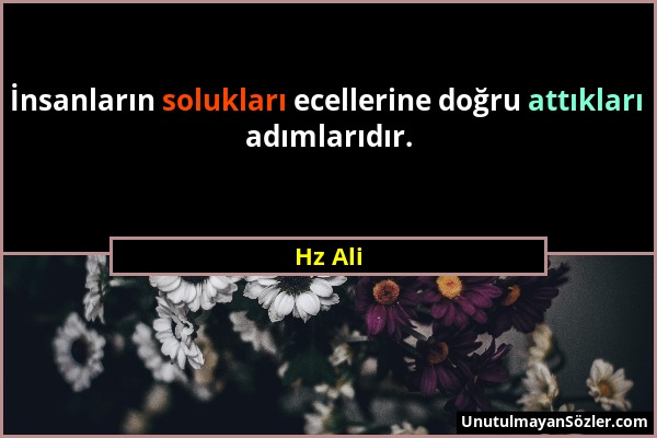 Hz Ali - İnsanların solukları ecellerine doğru attıkları adımlarıdır....