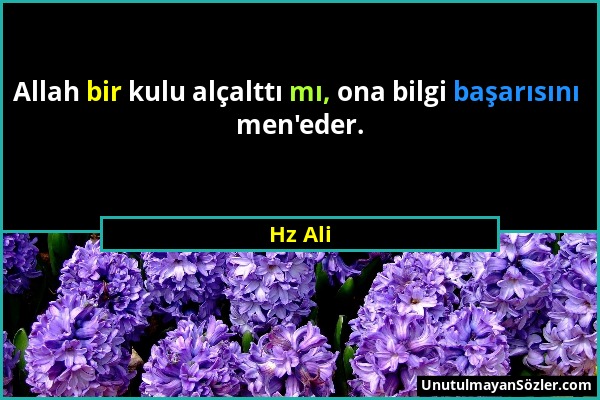 Hz Ali - Allah bir kulu alçalttı mı, ona bilgi başarısını men'eder....