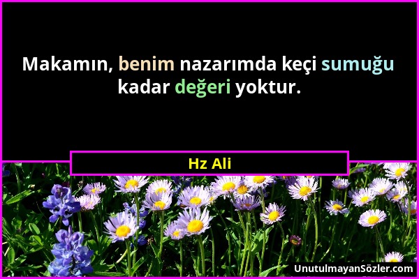 Hz Ali - Makamın, benim nazarımda keçi sumuğu kadar değeri yoktur....
