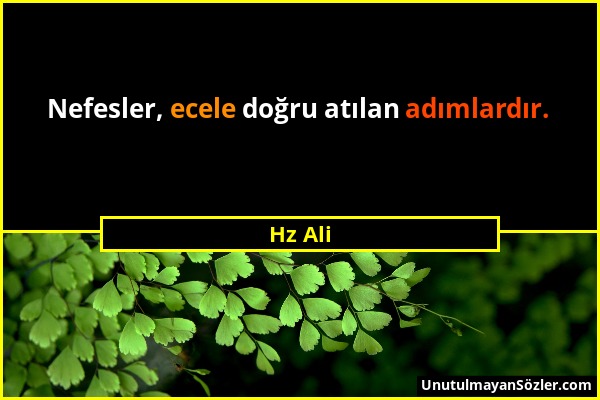 Hz Ali - Nefesler, ecele doğru atılan adımlardır....