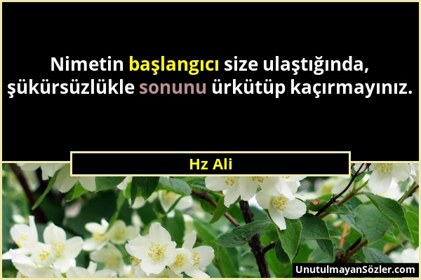 Hz Ali - Nimetin başlangıcı size ulaştığında, şükürsüzlükle sonunu ürkütüp kaçırmayınız....