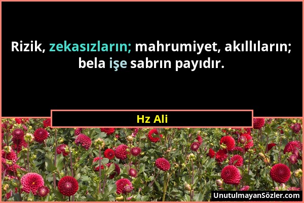 Hz Ali - Rizik, zekasızların; mahrumiyet, akıllıların; bela işe sabrın payıdır....